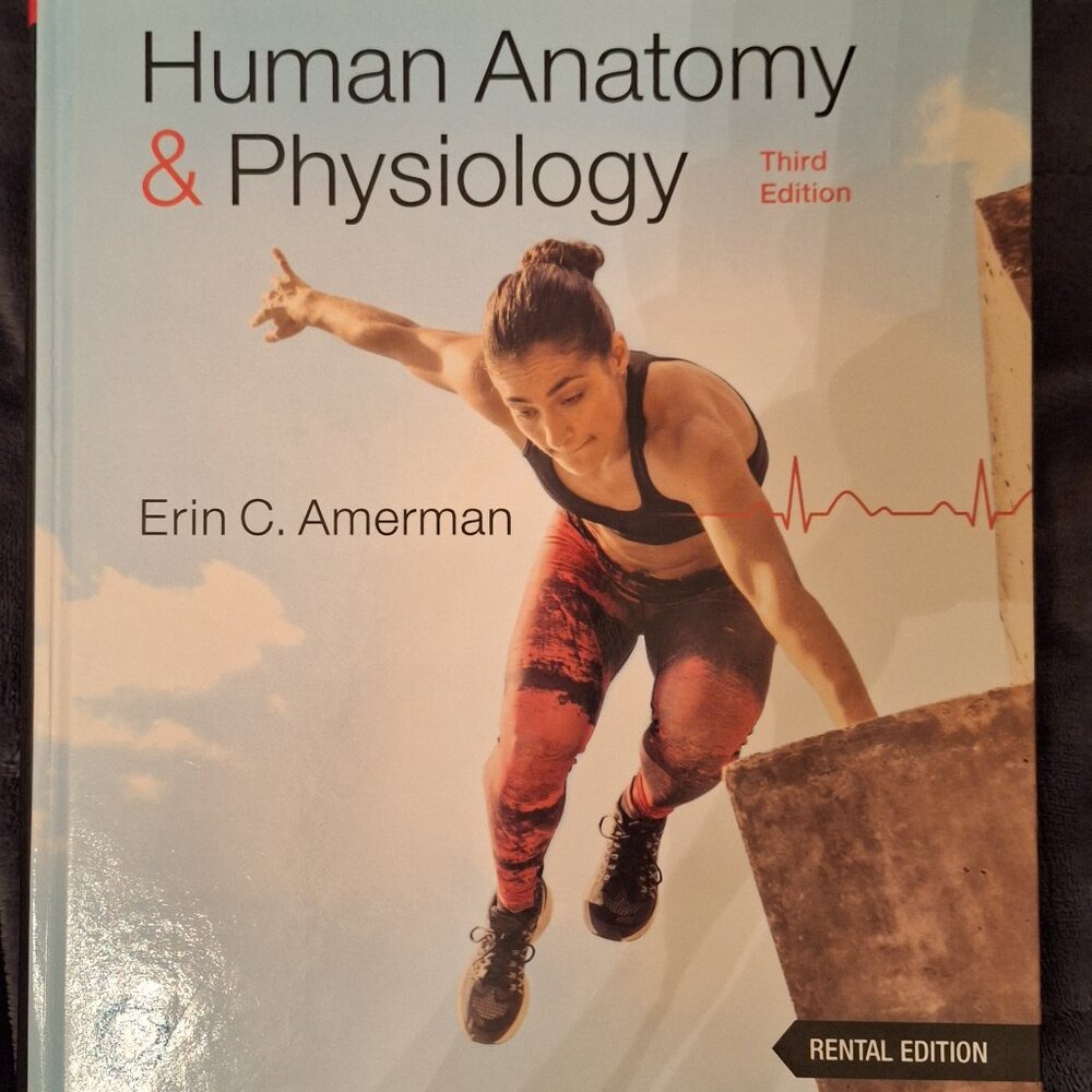 Human Anatomy & Physiology Textbook, 3rd edition, by Erin Amerman